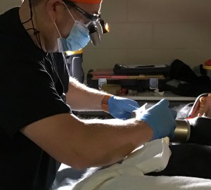 A vet in black scrubs, face mask, and eye protection using specialized tools for dental work on an animal's teeth, under bright surgical light.